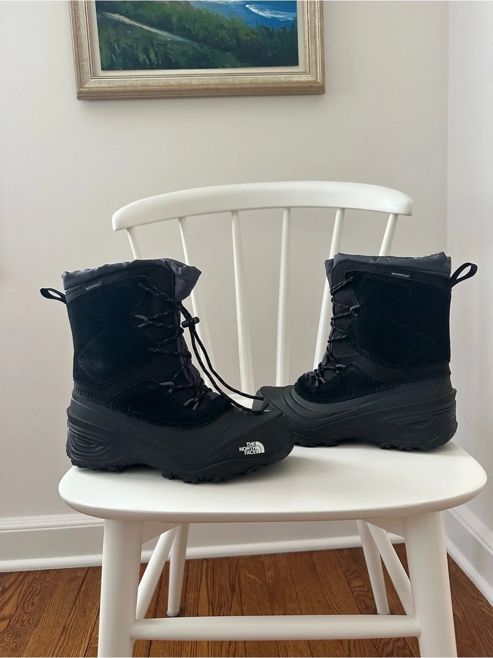 The North Face Youth Alpenglow V Waterproof Boots Size 5